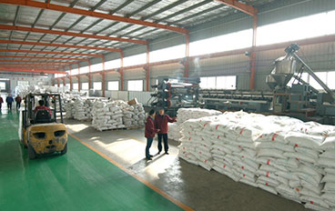 Shandong Ningjin Xinxing Chemical Co.,Ltd.