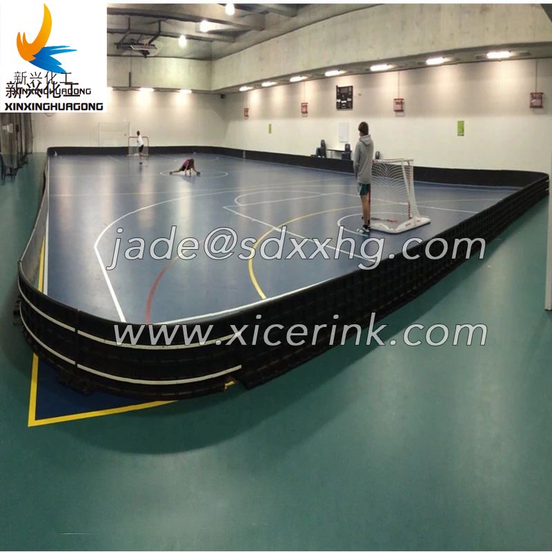 ice hockey floorball rink